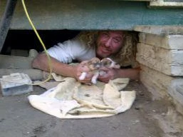 הצלת גורי כלבים